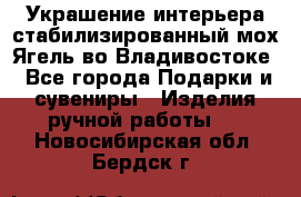 Украшение интерьера стабилизированный мох Ягель во Владивостоке - Все города Подарки и сувениры » Изделия ручной работы   . Новосибирская обл.,Бердск г.